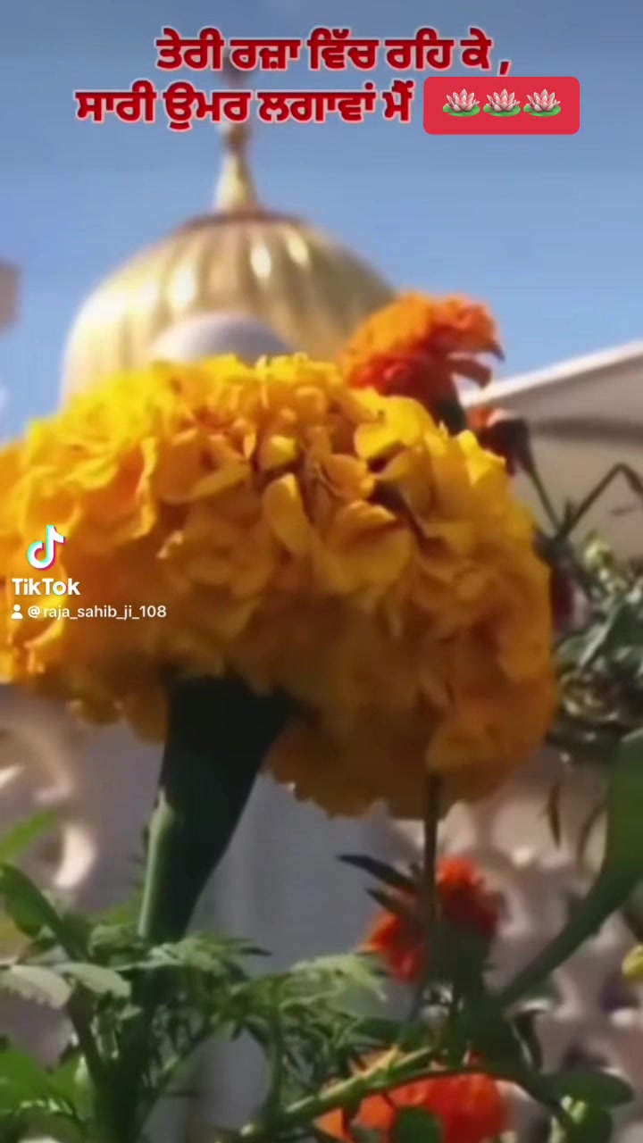 @ਜੱਦੀ ਘਰ ਰਾਜਾ ਸਾਹਿਬ ਜੀ