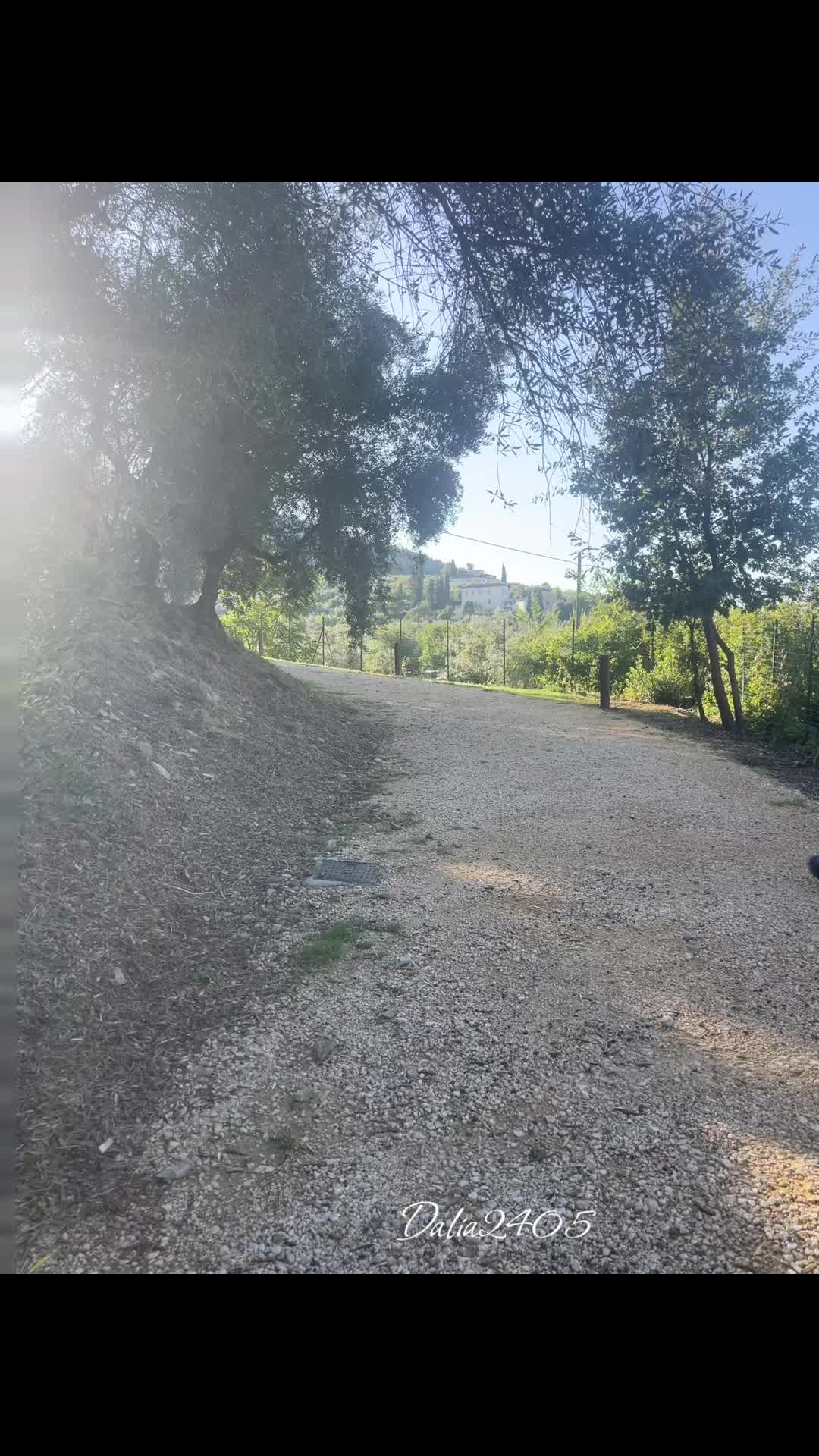 @Dalia2405