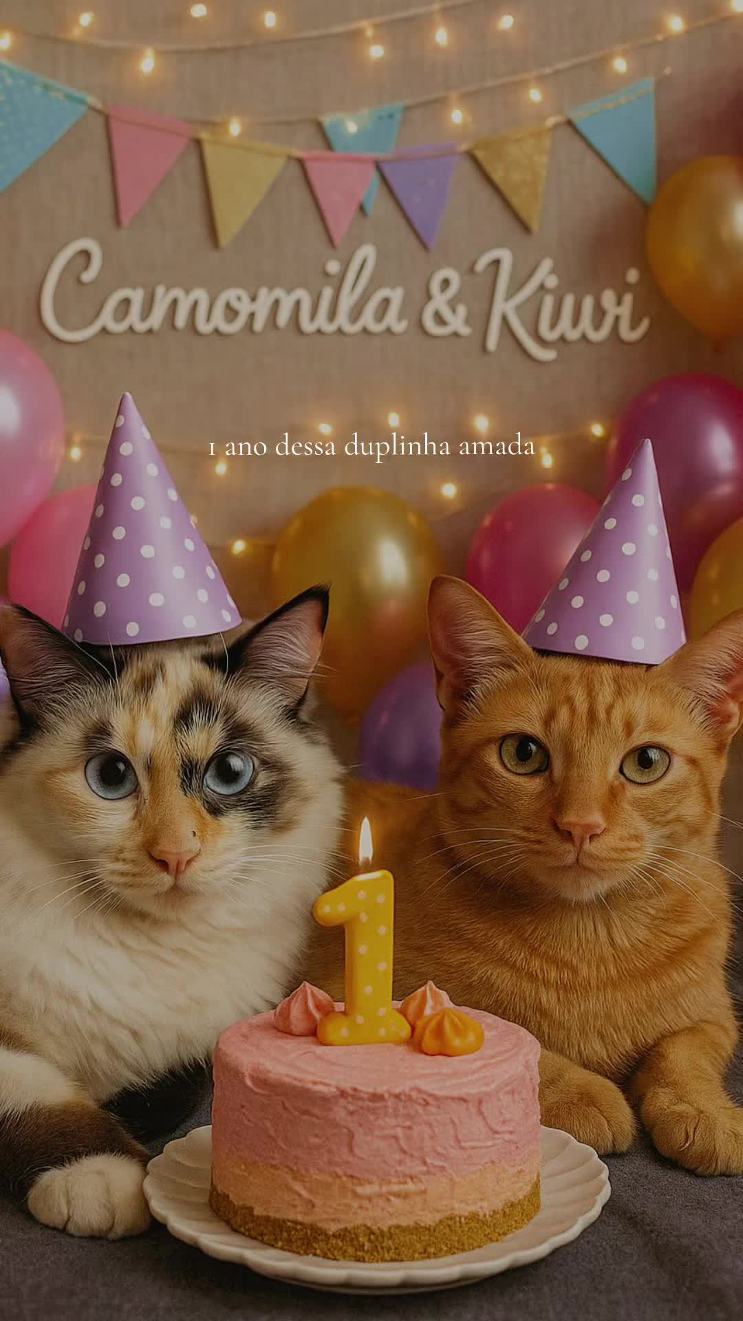 @Kiwi & Camomila