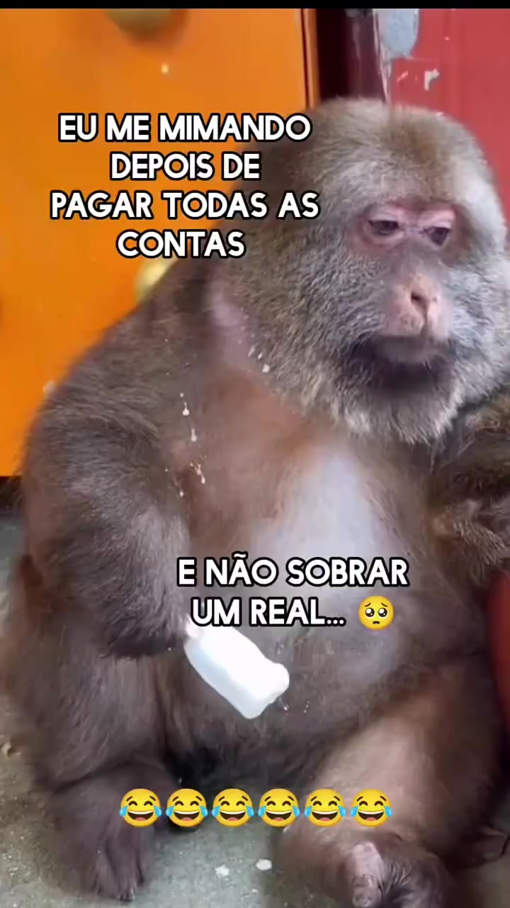@Eliane Souza