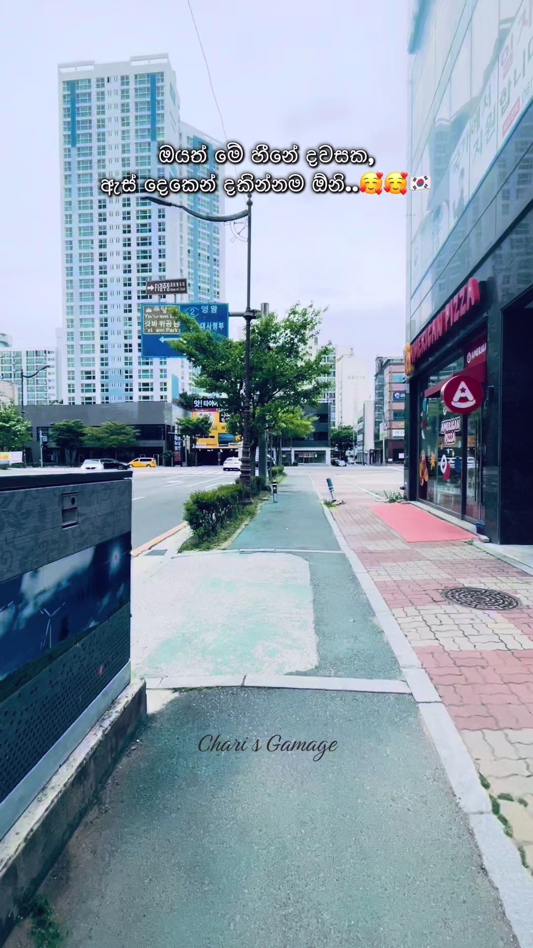 @Chariyy 🇰🇷