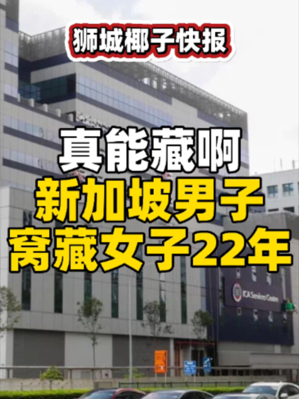 @新加坡狮城椰子
