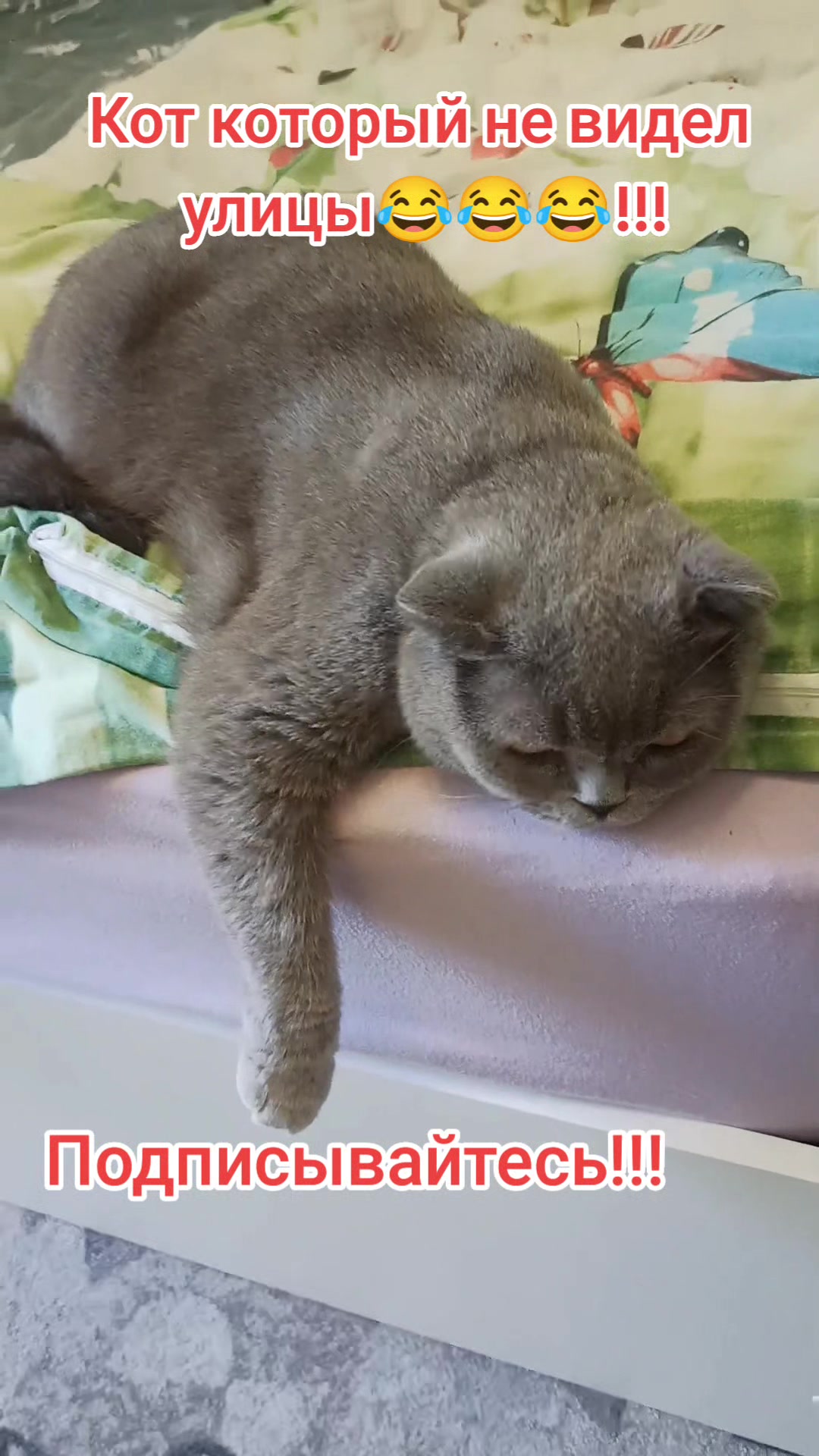 @Варибрус777