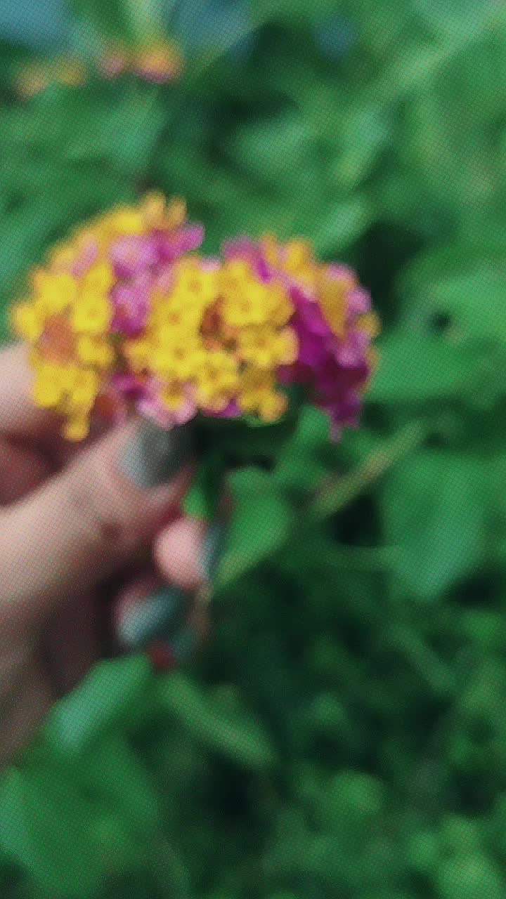 @đĢRuhidasđĢ