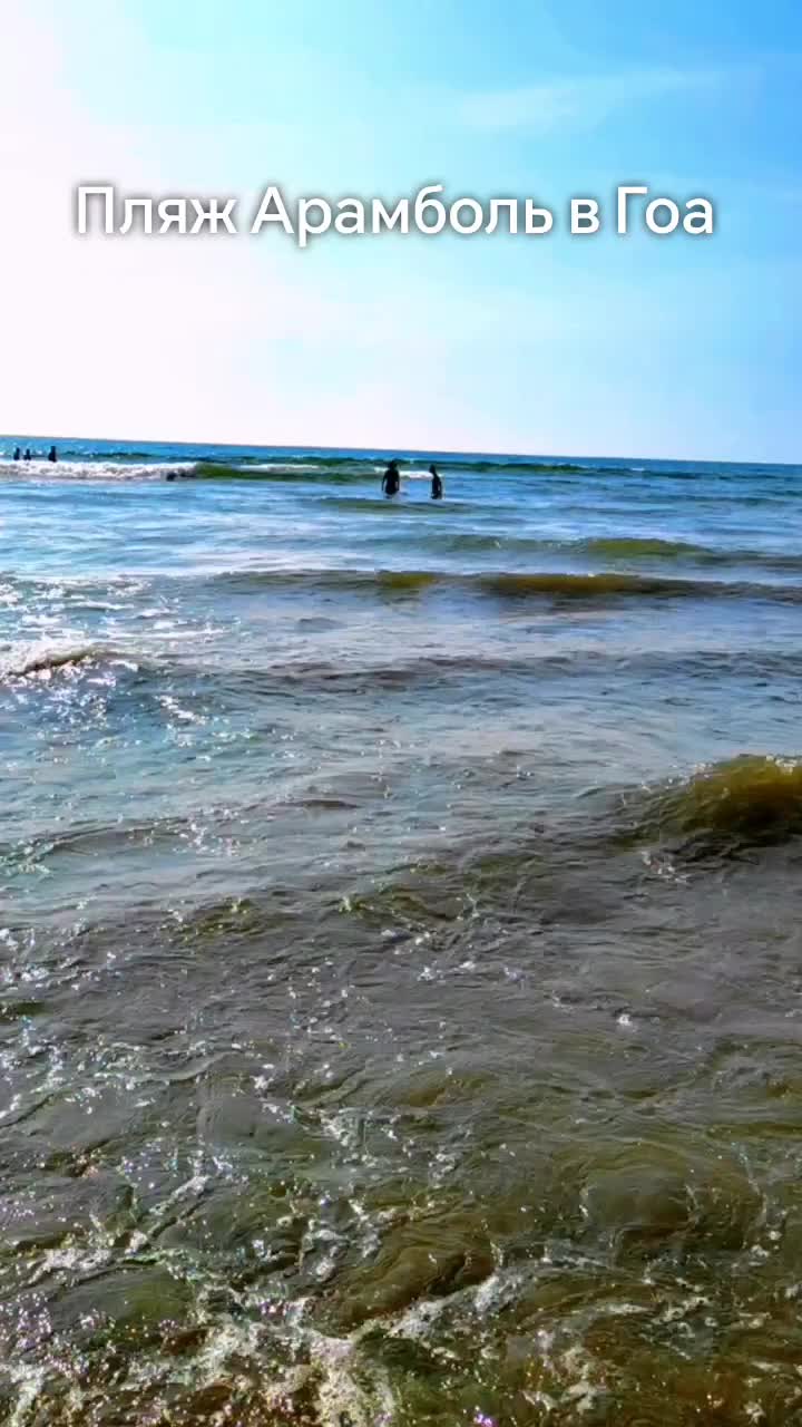 @Регина Синха