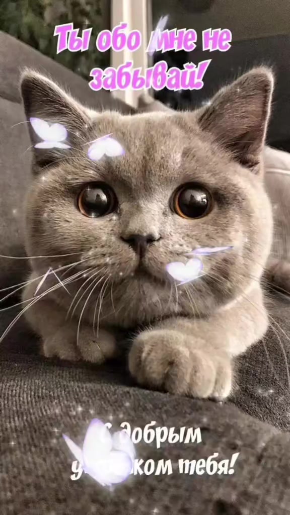 @Светлана.
