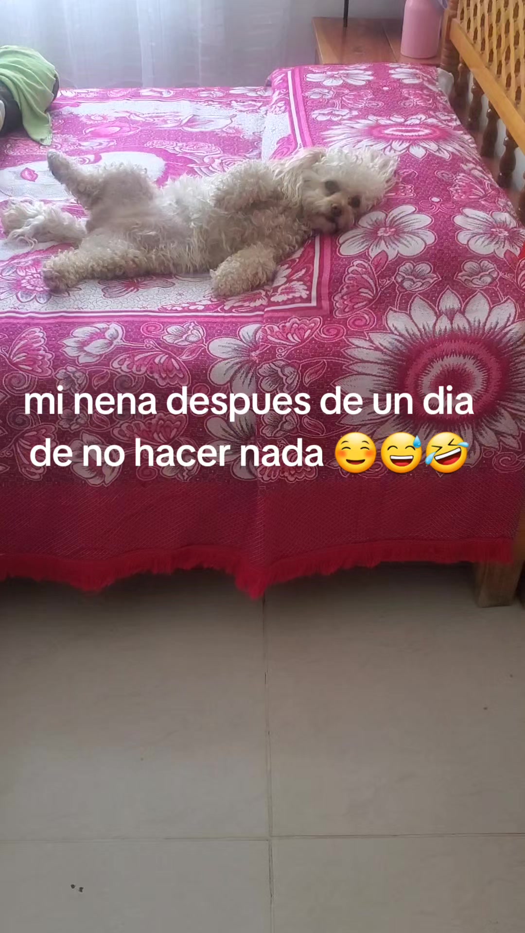 @varcan❤️