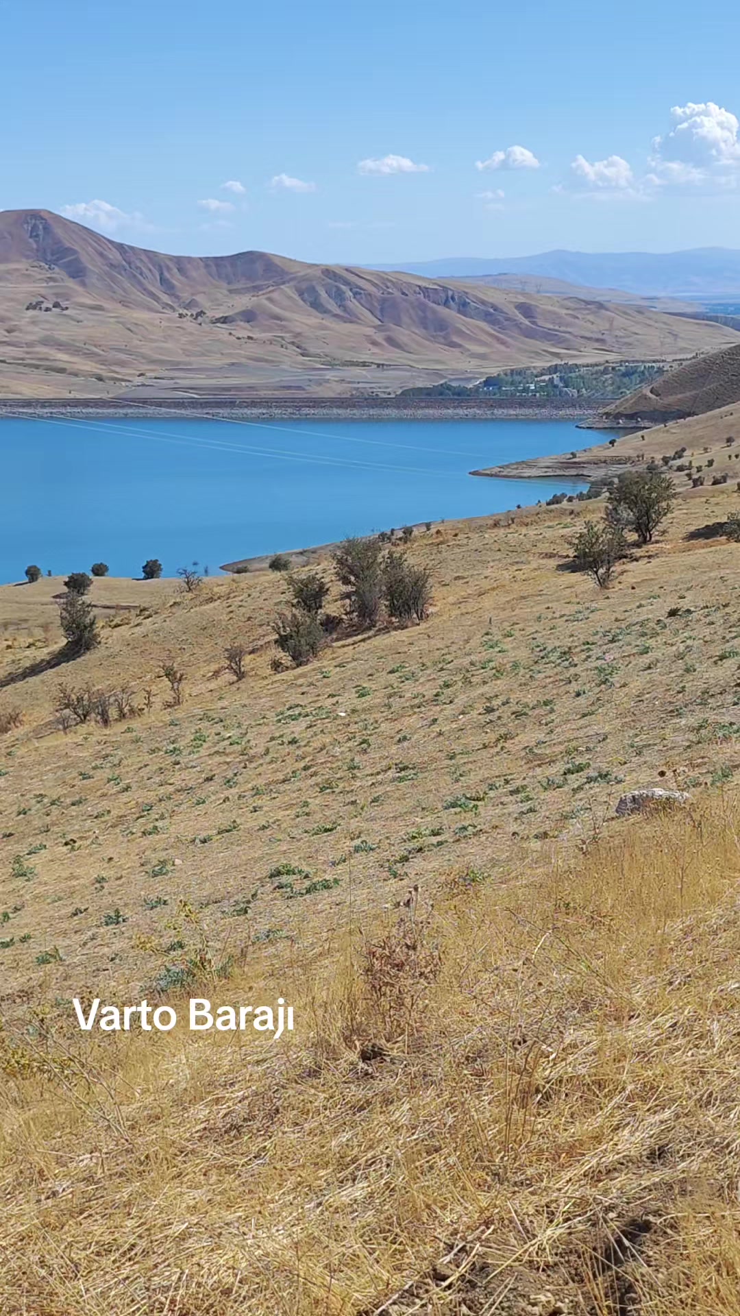 @VARTODAN SON BİLGİLER 49
