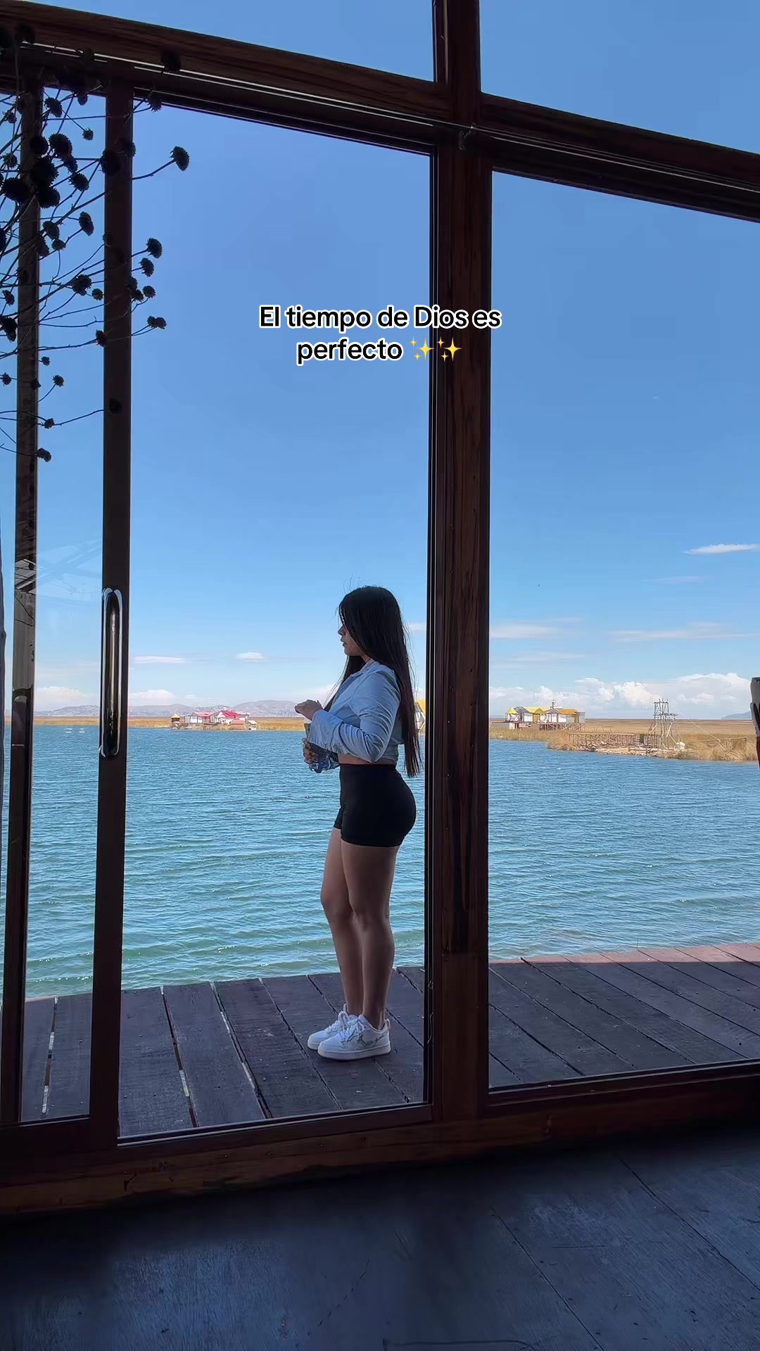 @Lu.Montenegro♊️