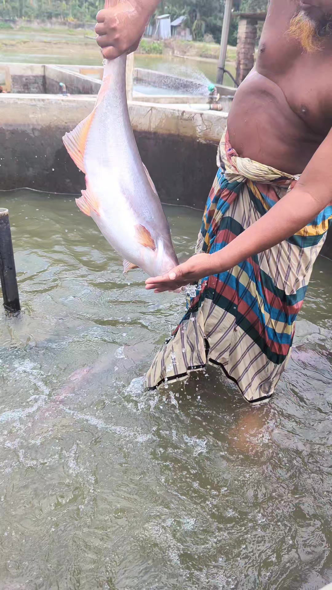 @Fish Lovers Bangladesh
