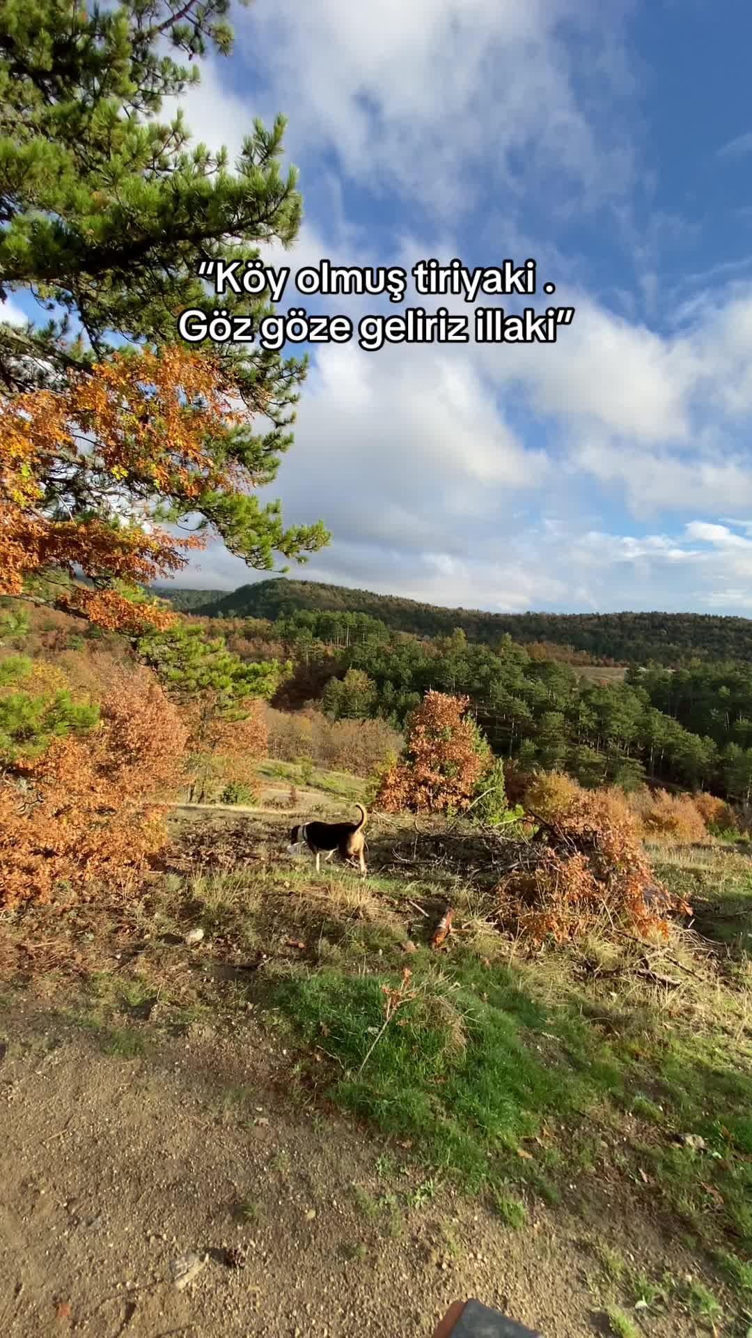 @KADİR KAYIR