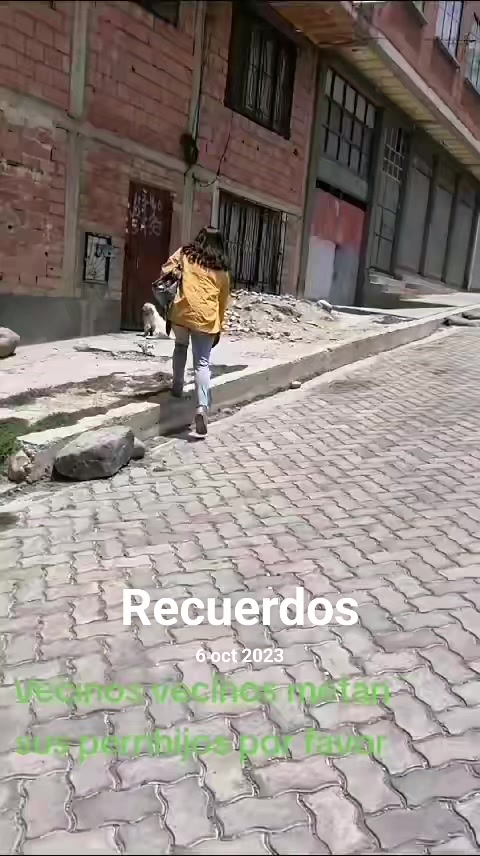 @Fundacion Huellitas