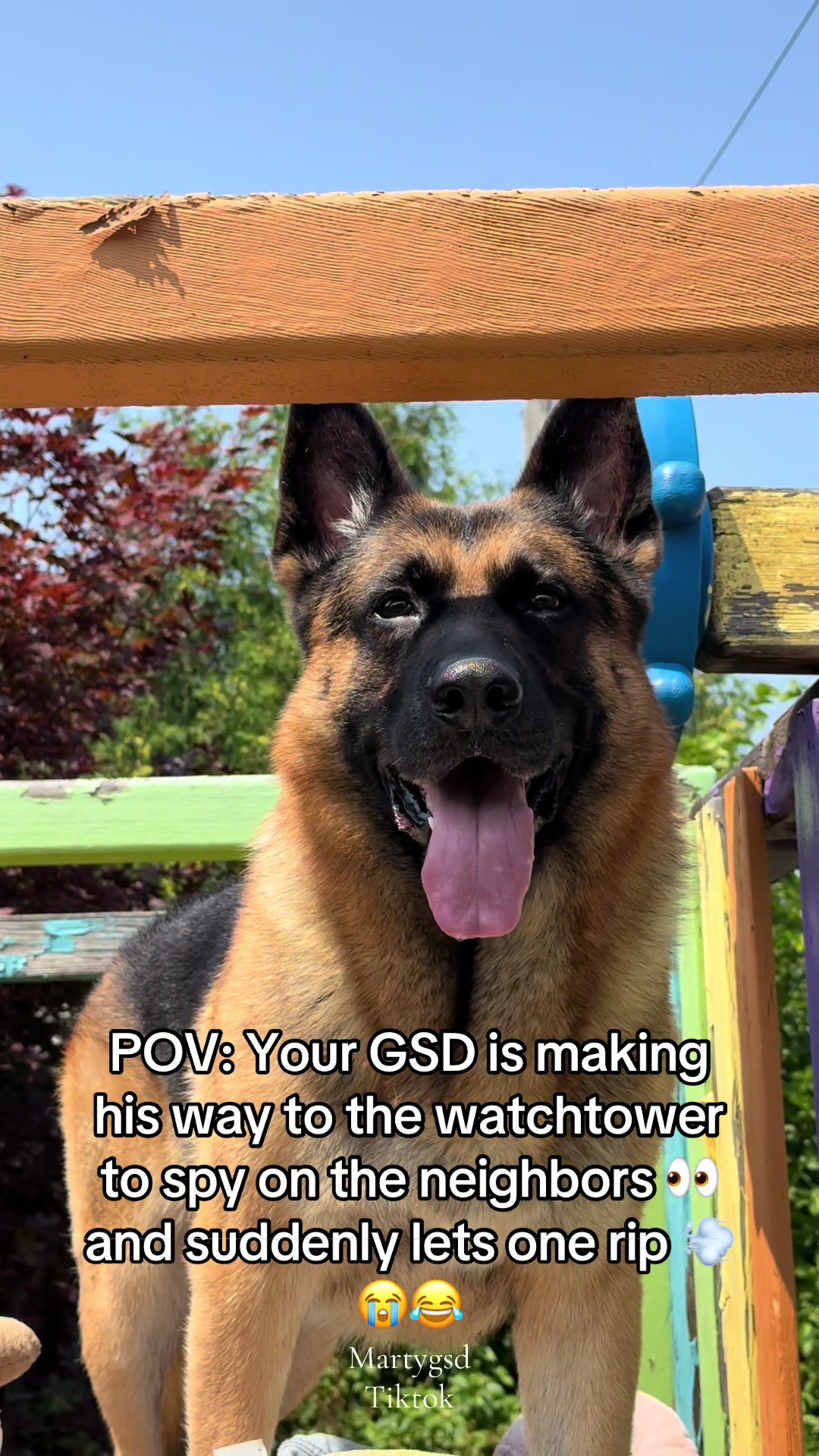 @Martygsd