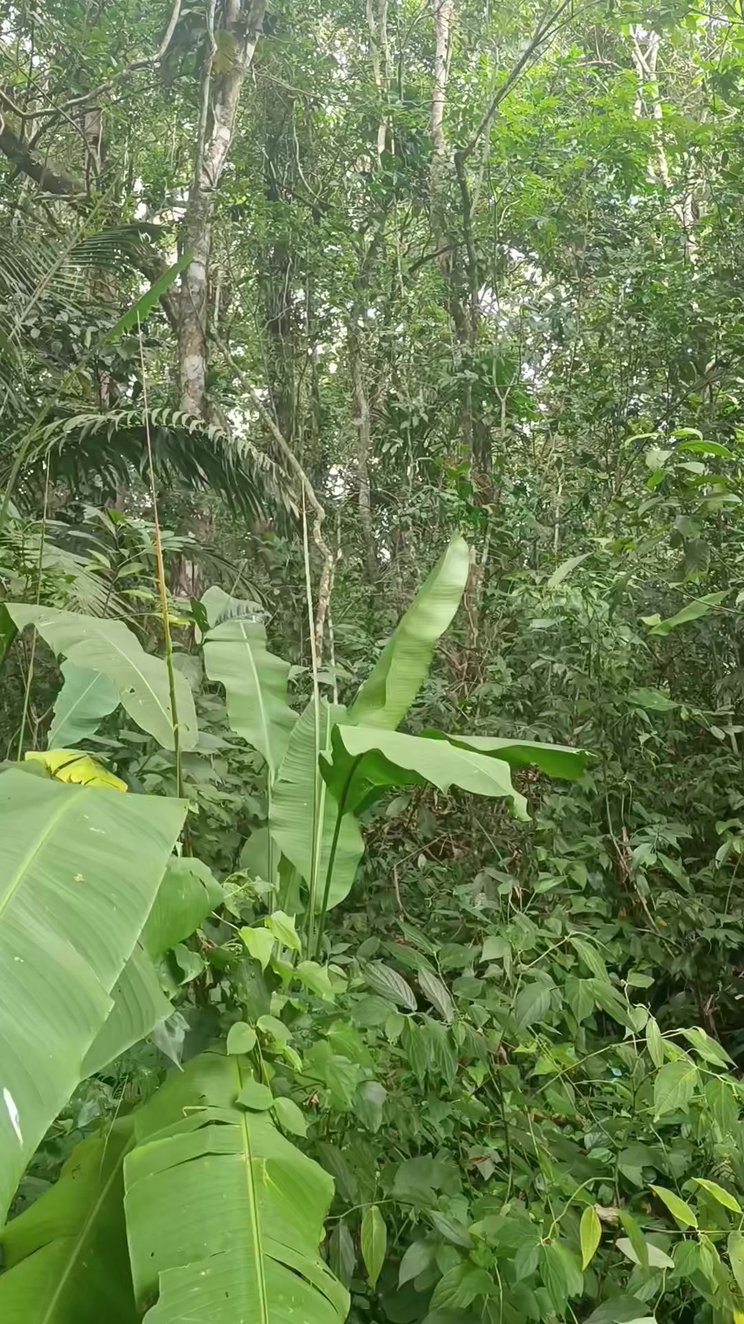 @@ T&aacute; sabendo Itanha&eacute;m?