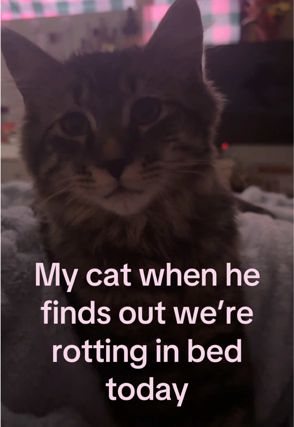 @𝓛𝓲𝓵𝓵𝔂