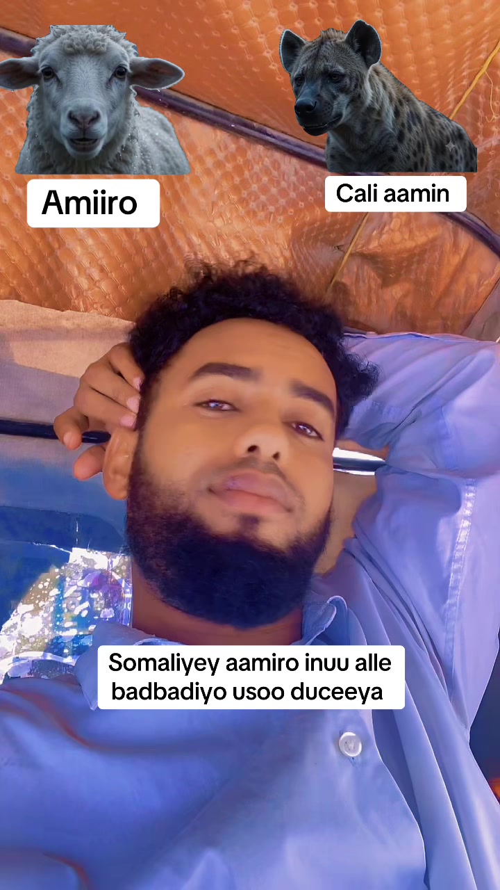 @King_qeys