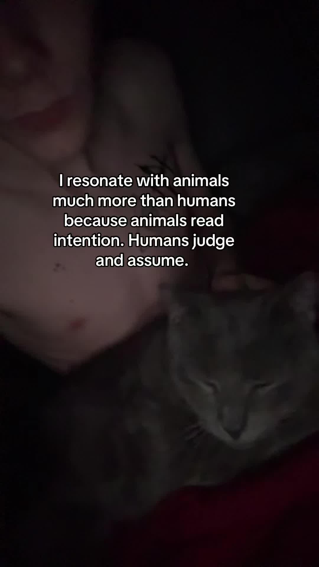 @2ooX