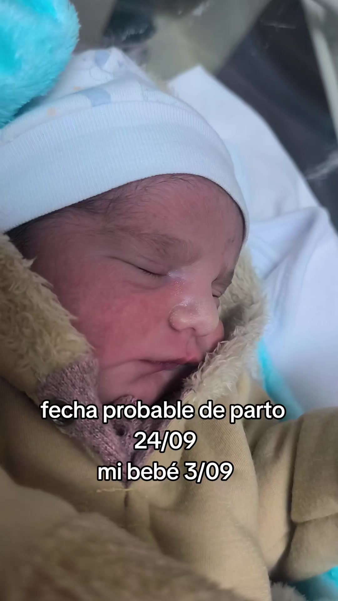 @Estefania Pineda