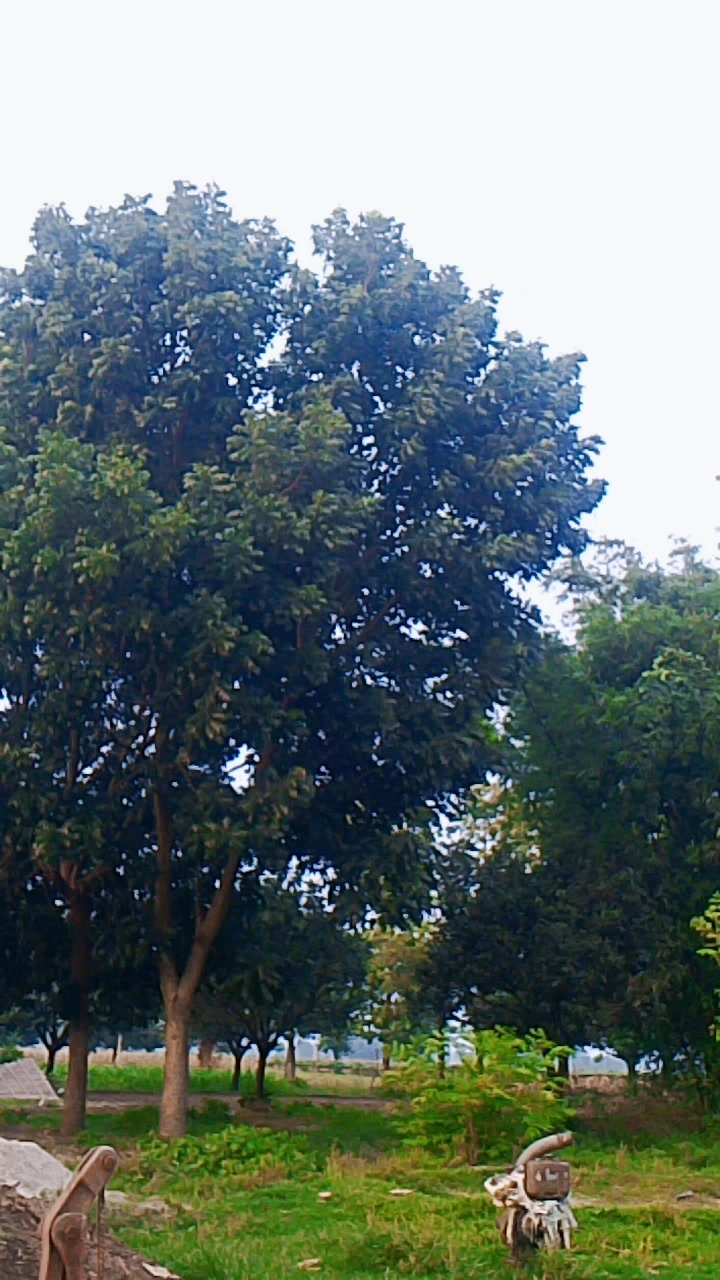 @priyanshu pal