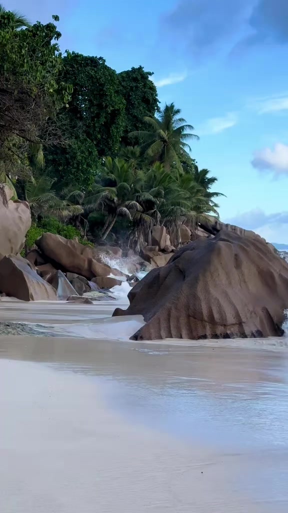 @واثقه بالله