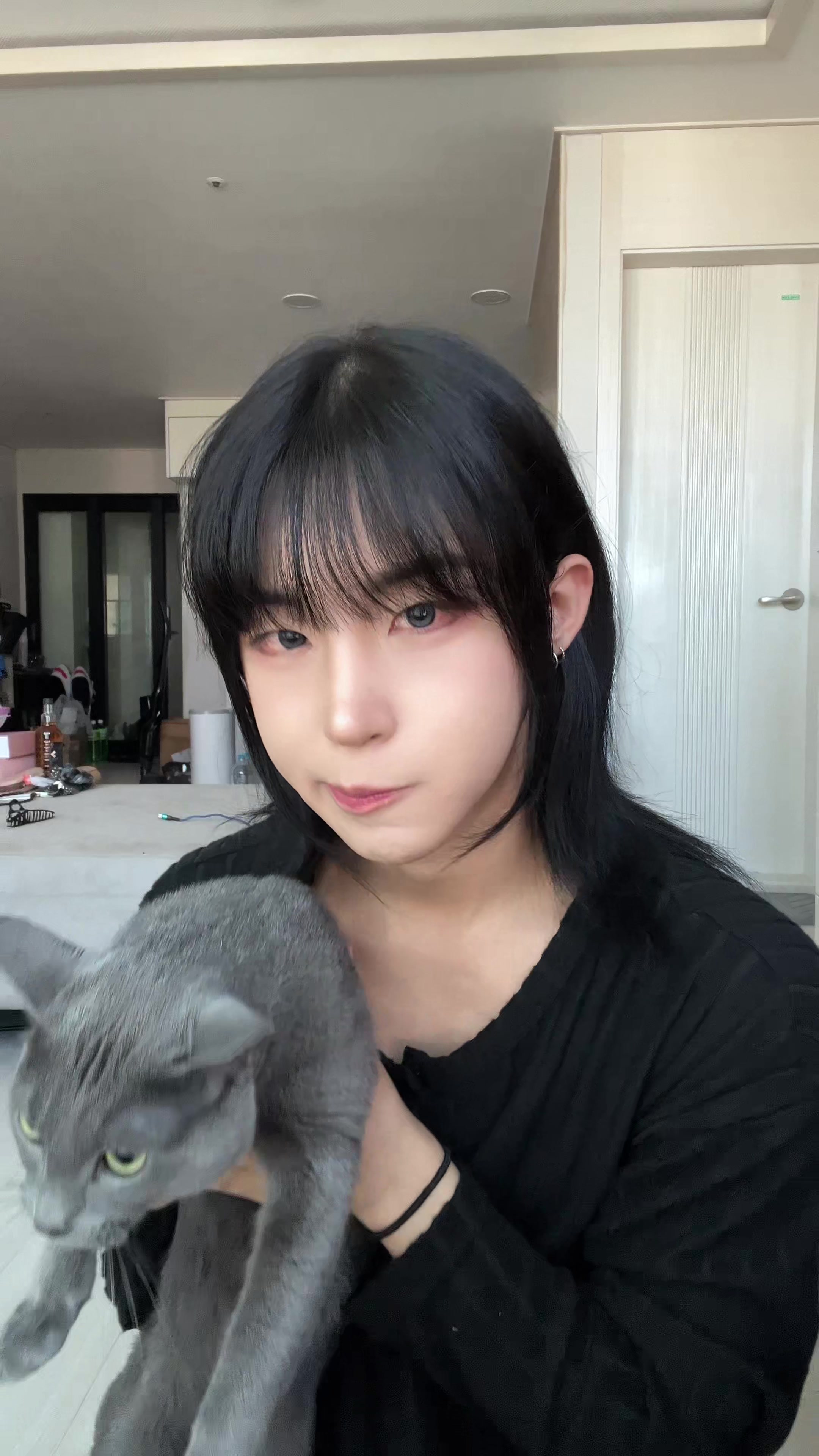 @가토 GATO