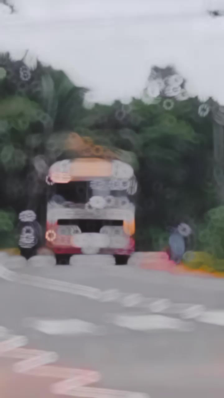 @bus lover ❤️❤️