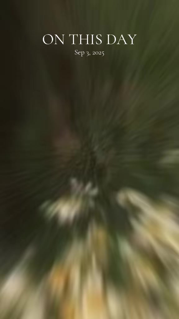 @𝓔𝓵𝓮𝓷𝓪 𝓐𝓶𝓮𝓮𝓻𝓲