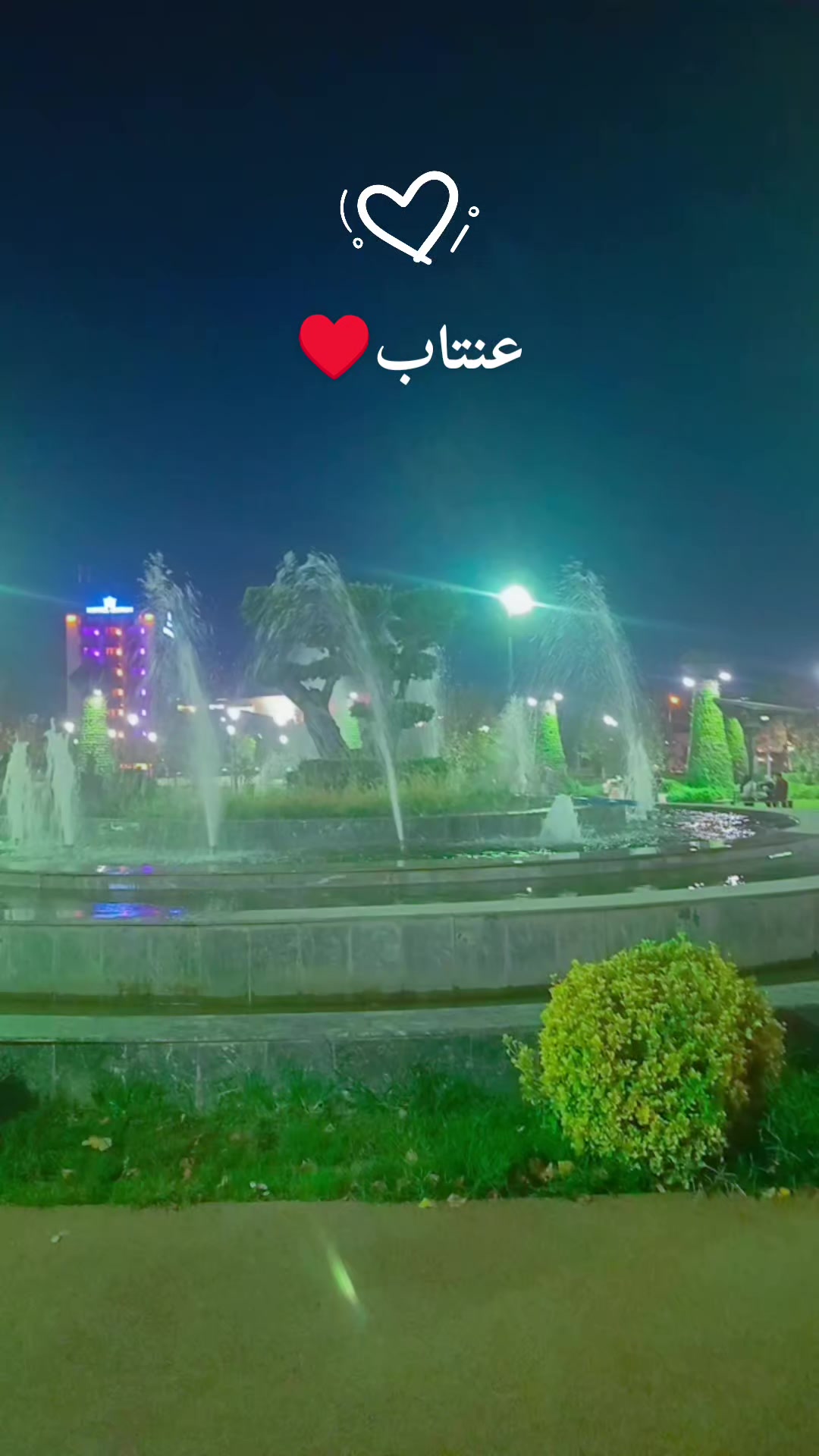 @☺️🌷زهرة حلب 🌷☺️