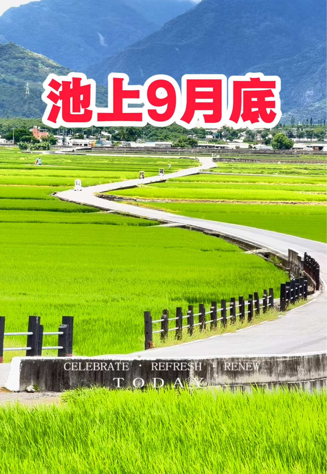 @美娴(華鼎自行車出租店)
