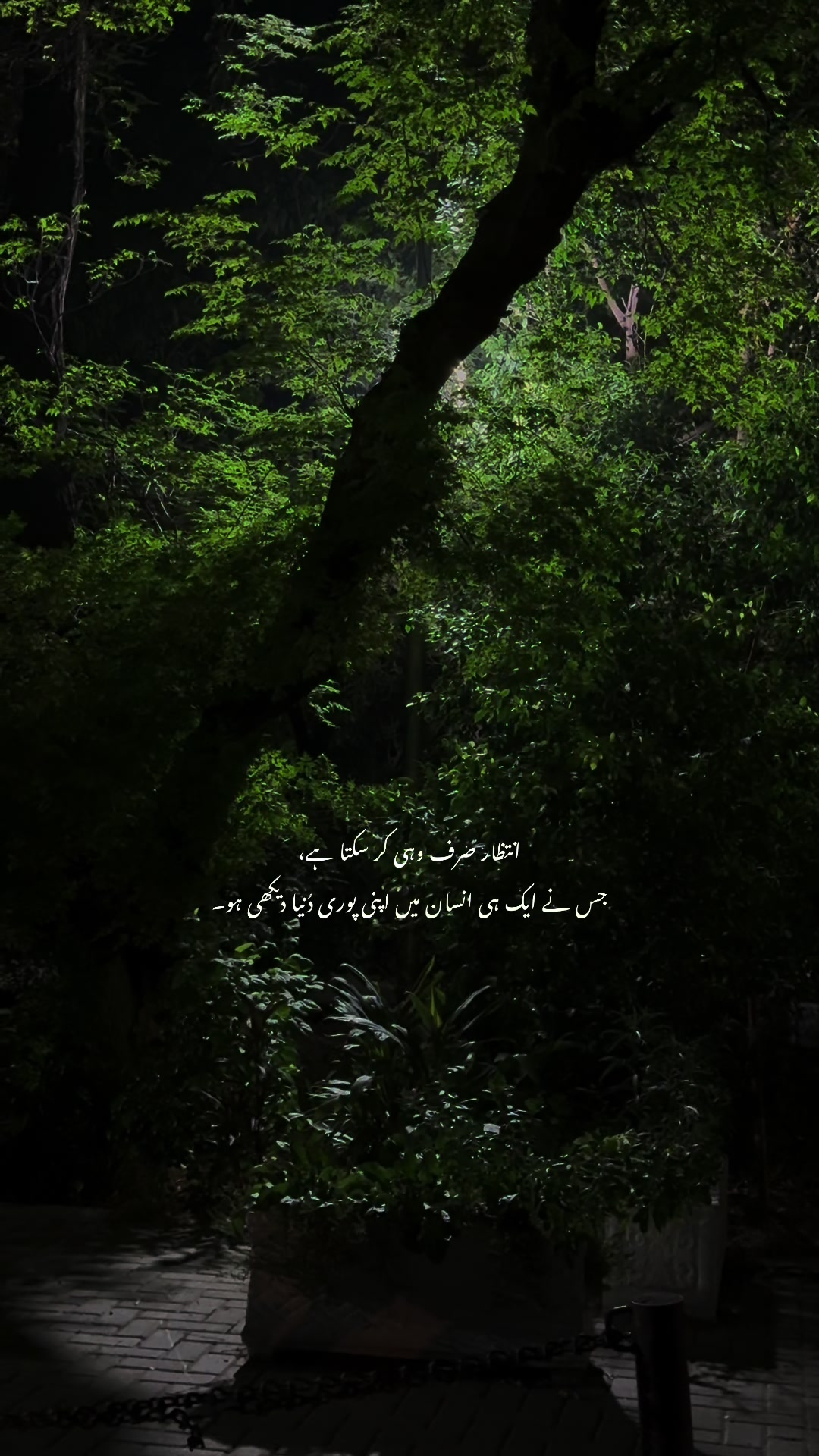 @کمیل🚩