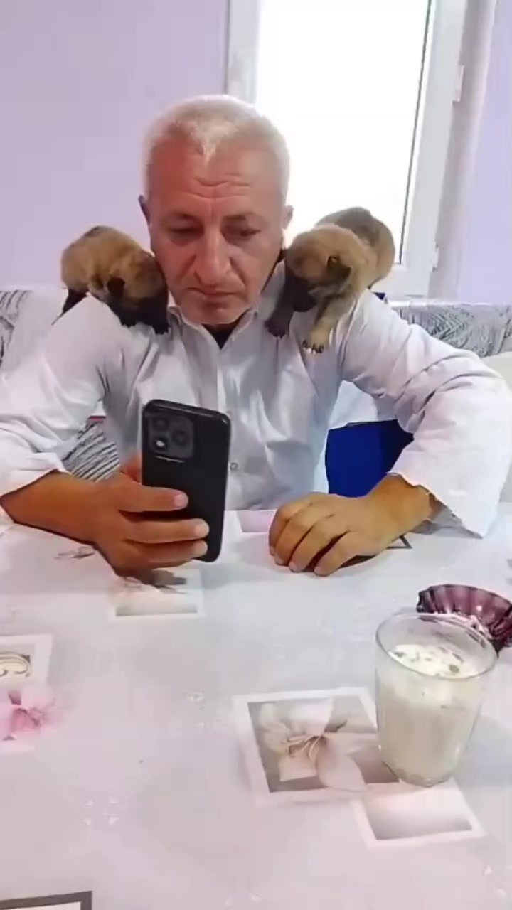 @Sahibsiz heyvanlara dəstək