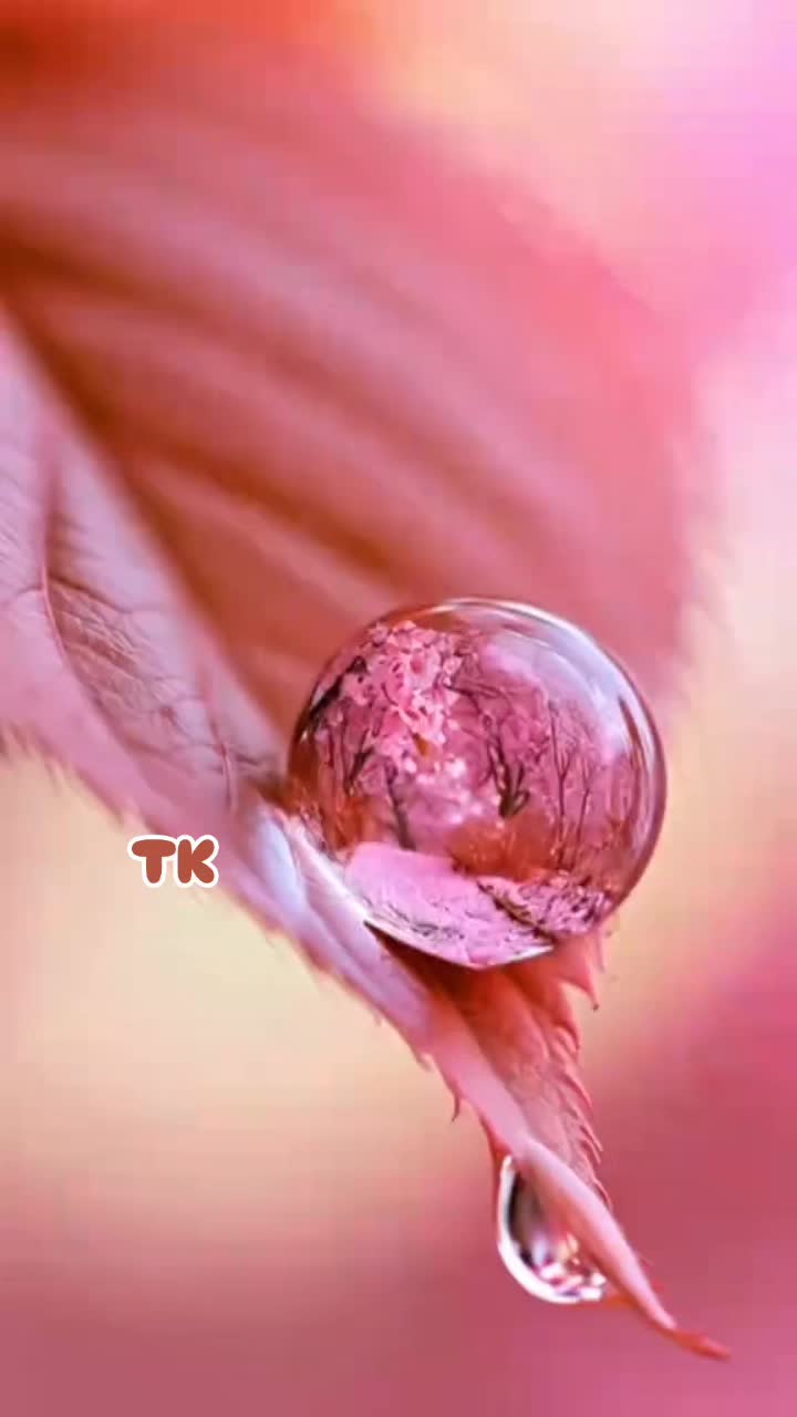 @❤️ TK ❤️