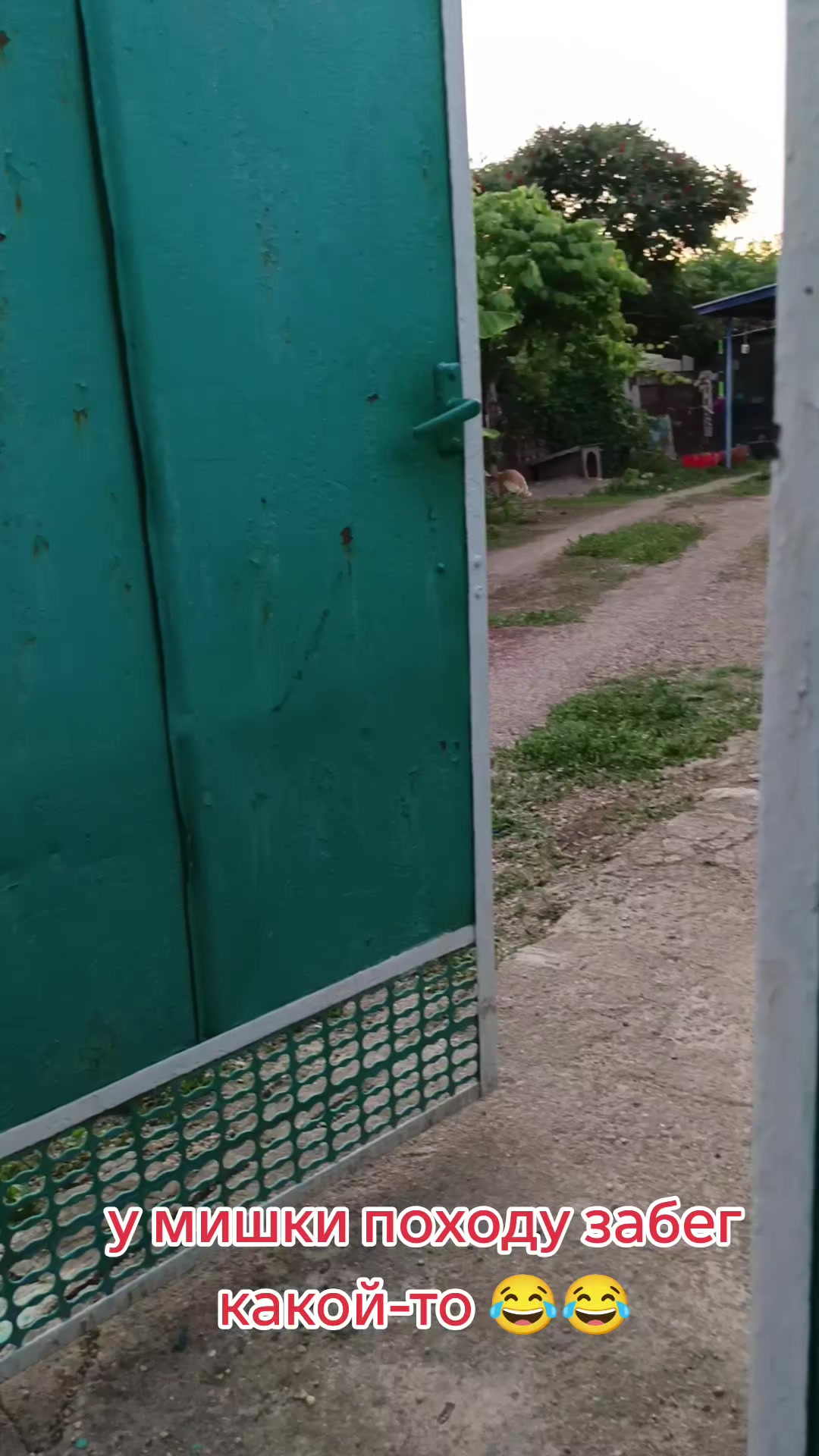 @Алёна