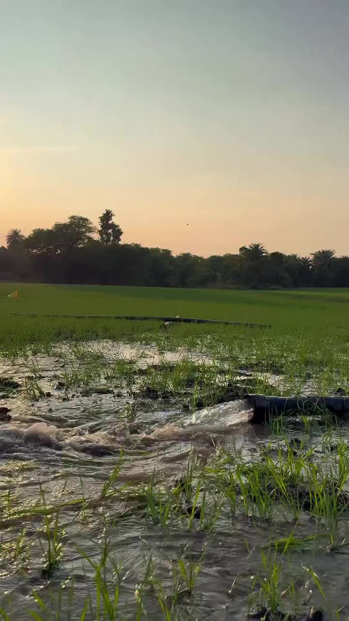 @थारु गाउँ☘️♥️