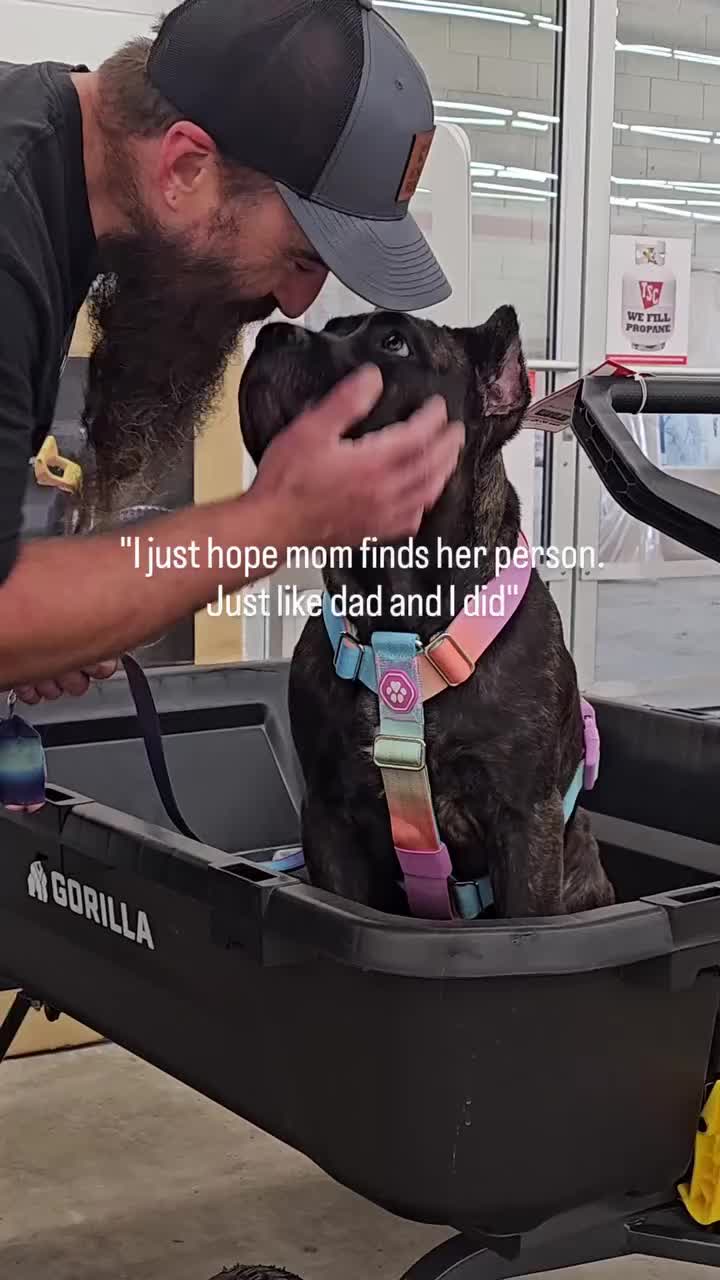 @SalmonCreekCaneCorso