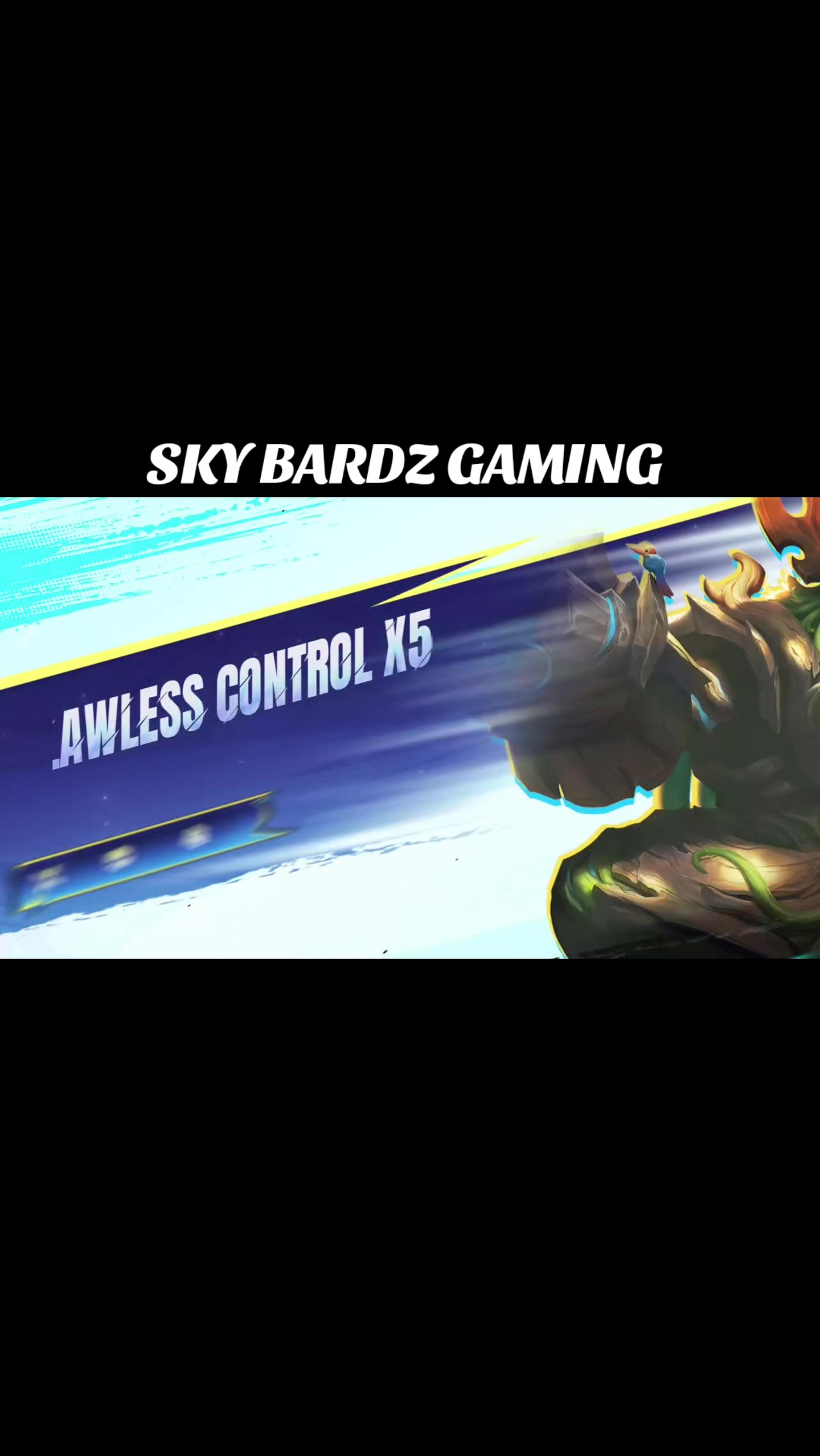@SKY BARDZ GAMING