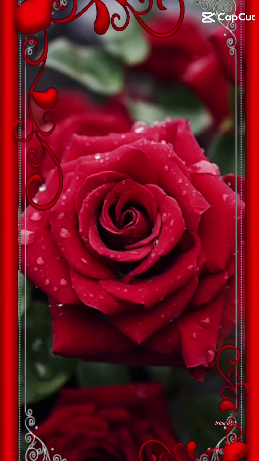 @nadezhdasvet1