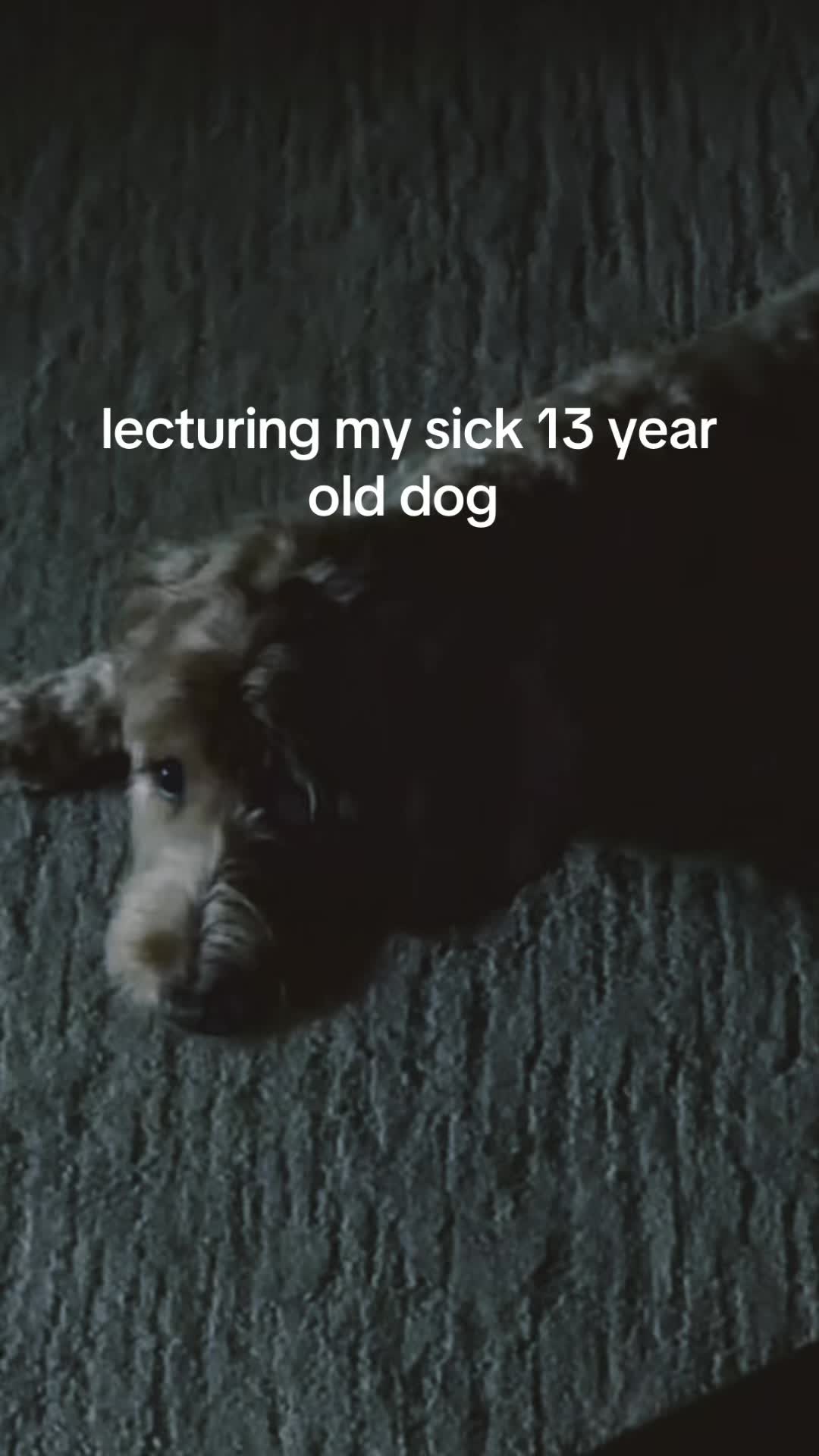 @quinnthentslayer