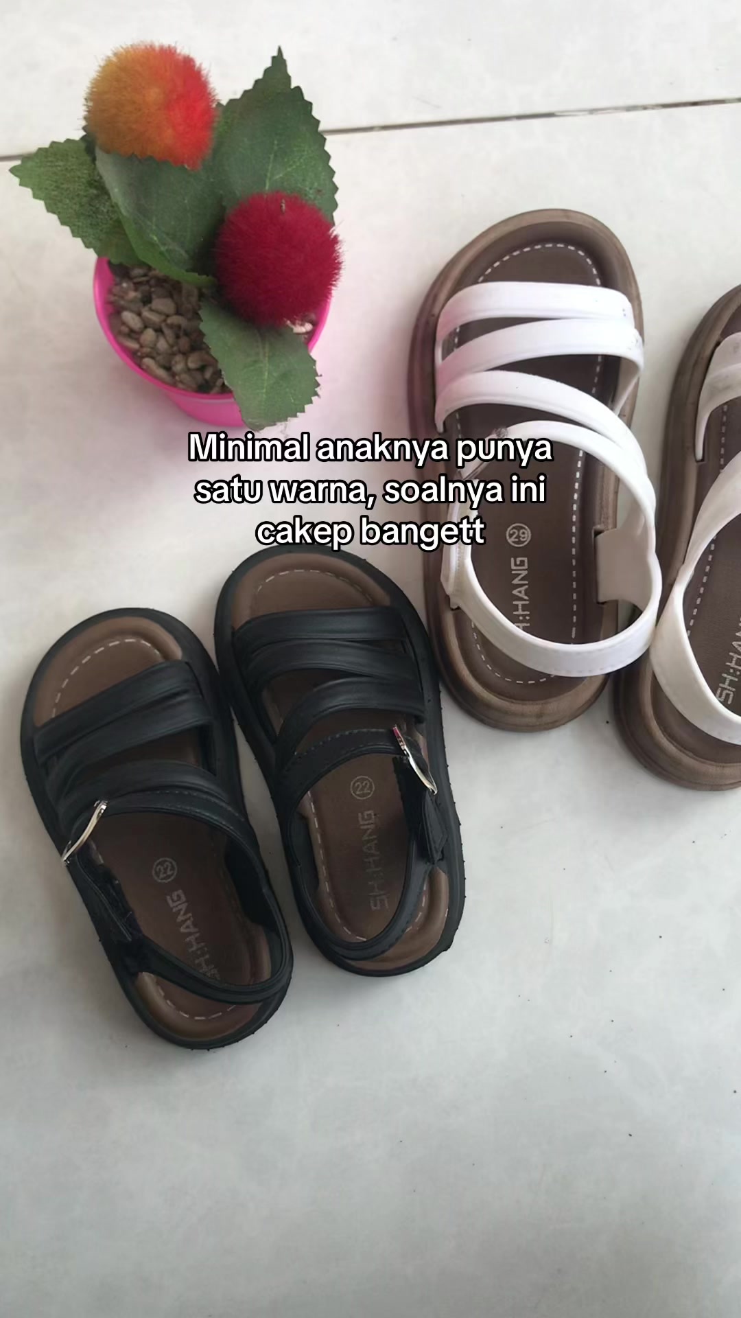 @kaktara24