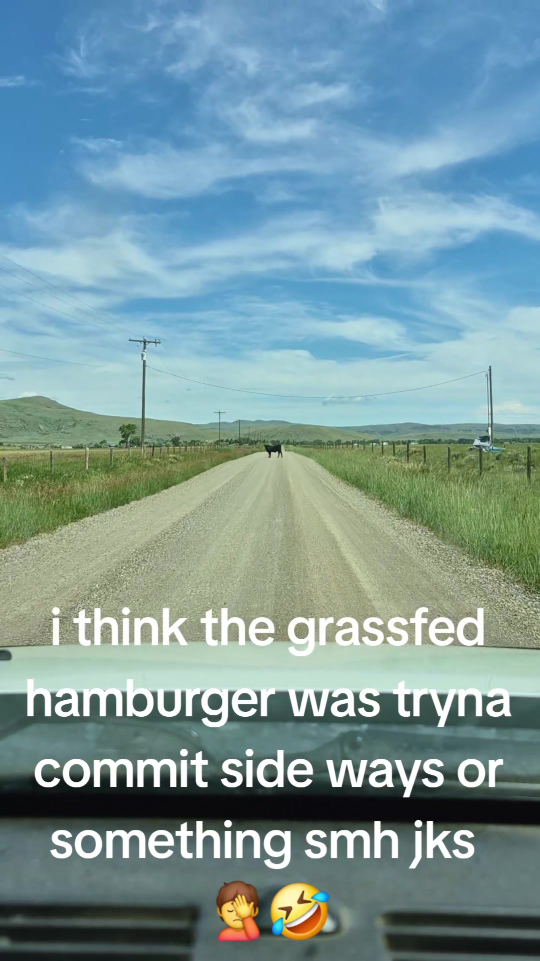 @M O N T A N A