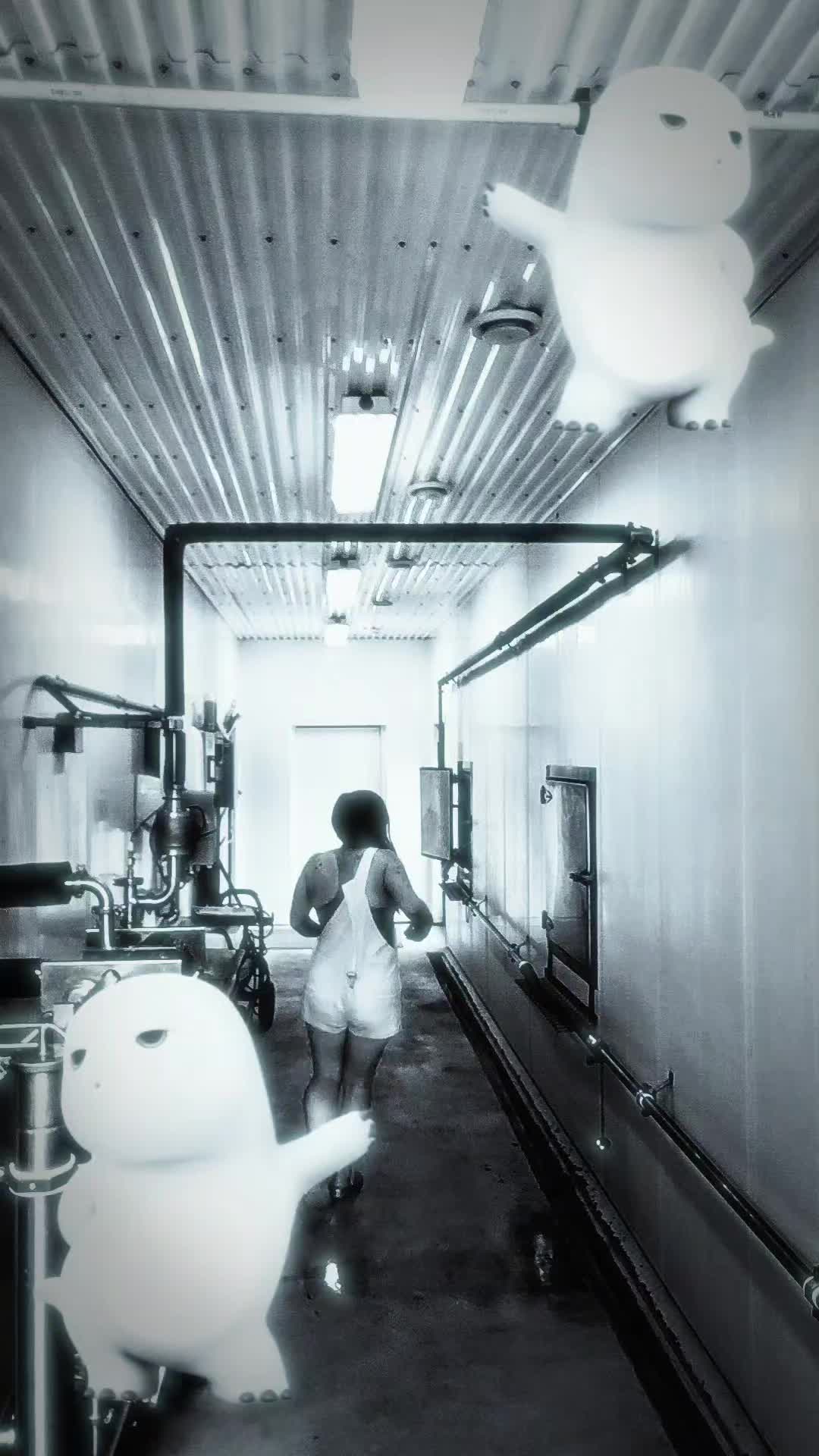 @FreeSpirit247