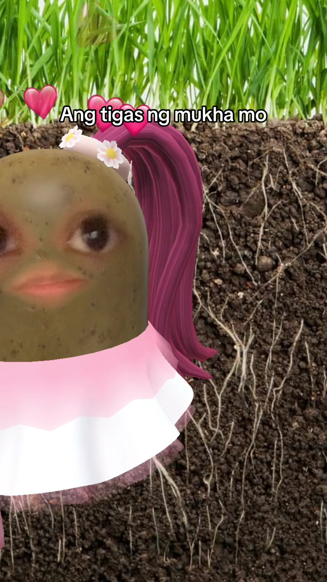 @Spudtacular8