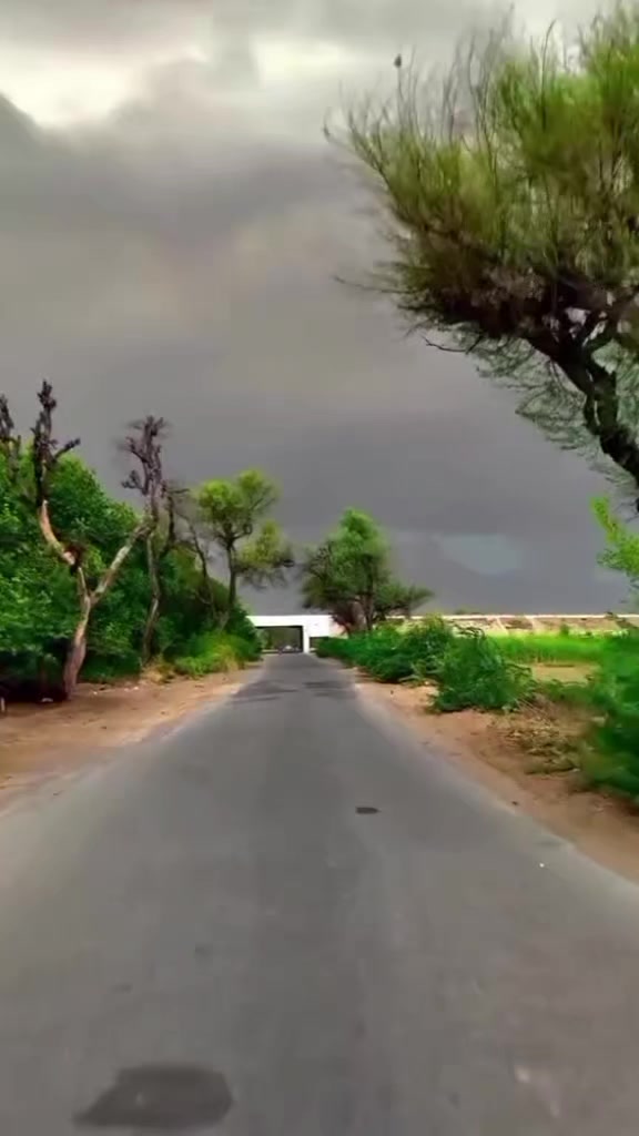 @NAZMA🤲নবীর প্রেমের পাগল আমি