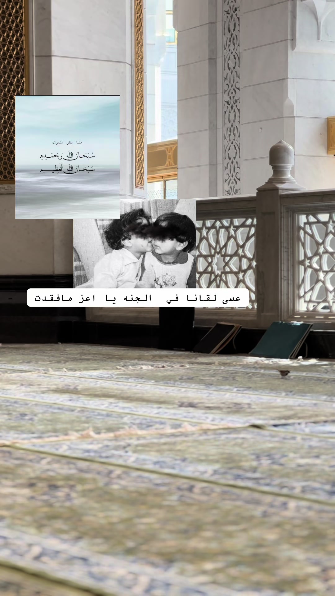 @شِين 🐈