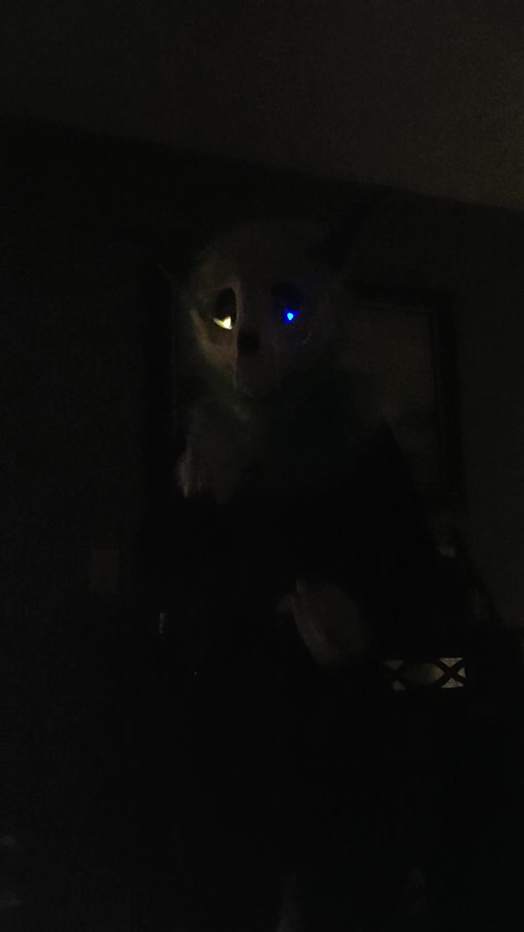 @ToxicWolfy