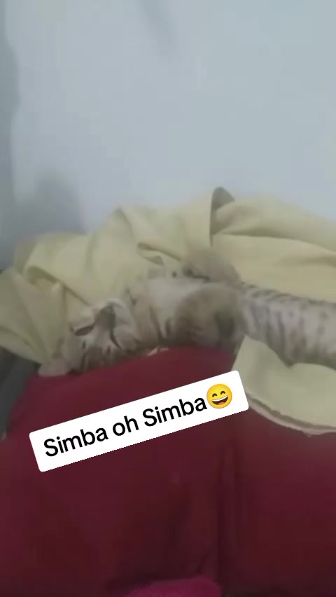 @Rizqi