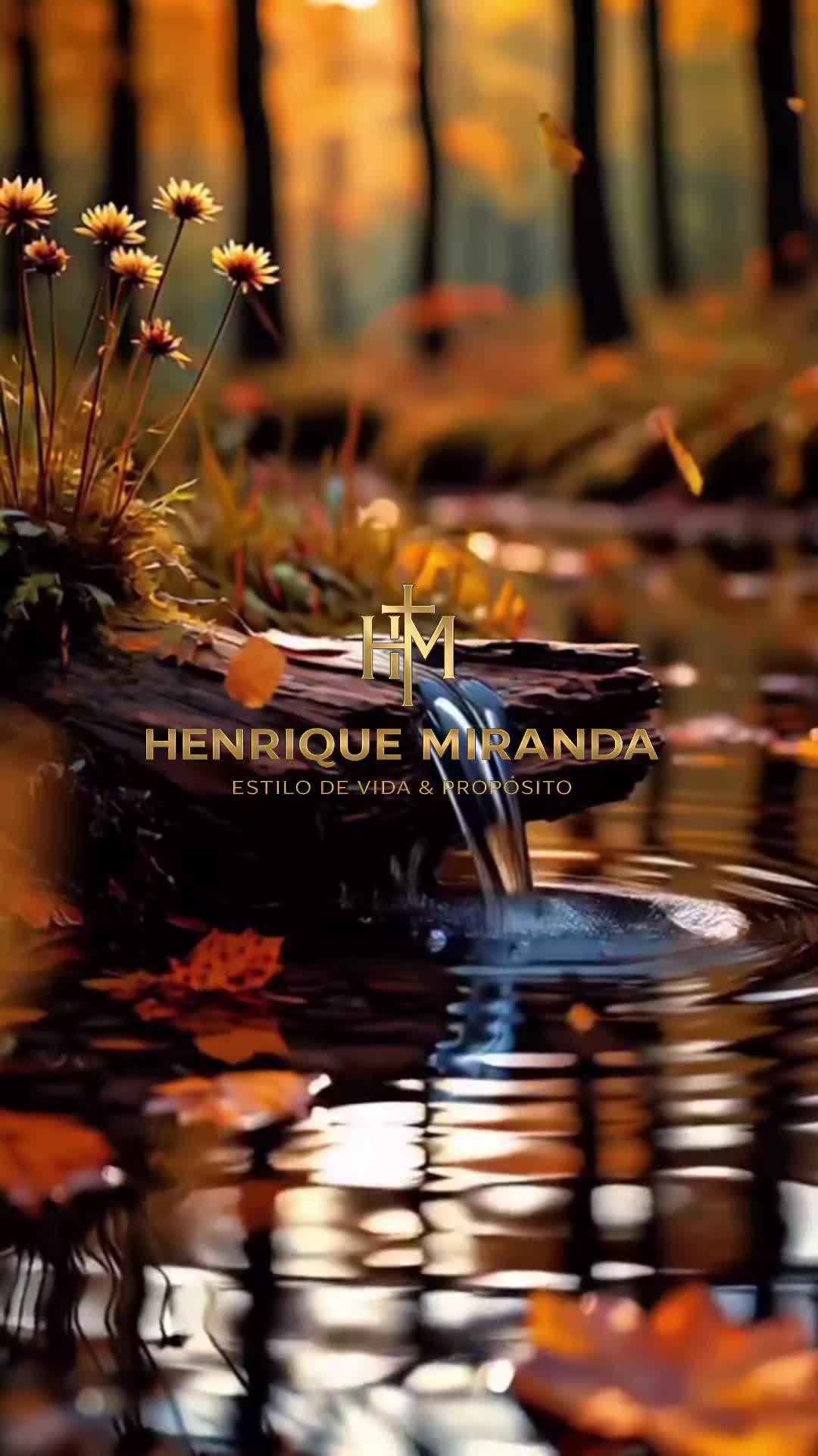 @Henrique Miranda