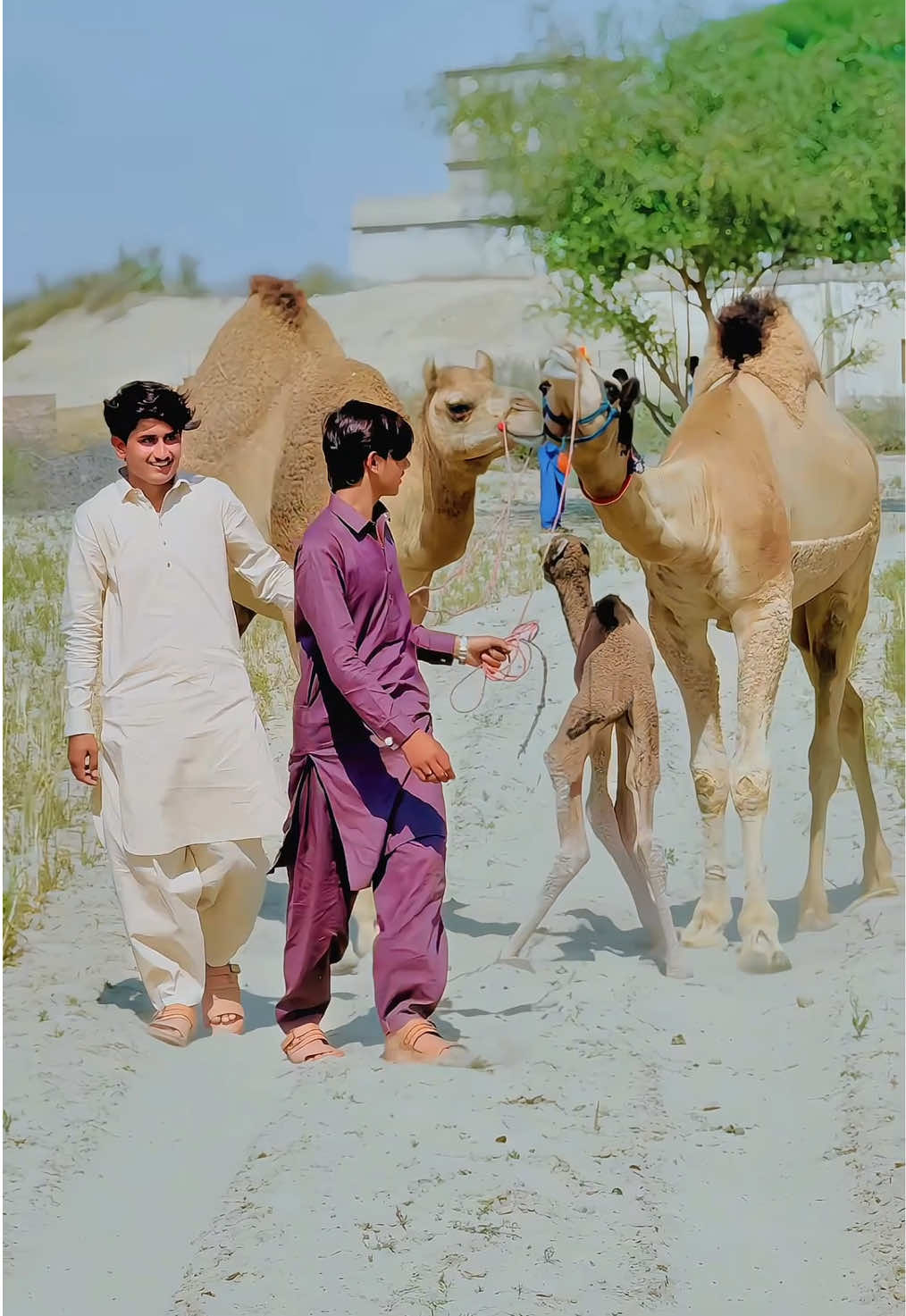 @Rustam Bhatti