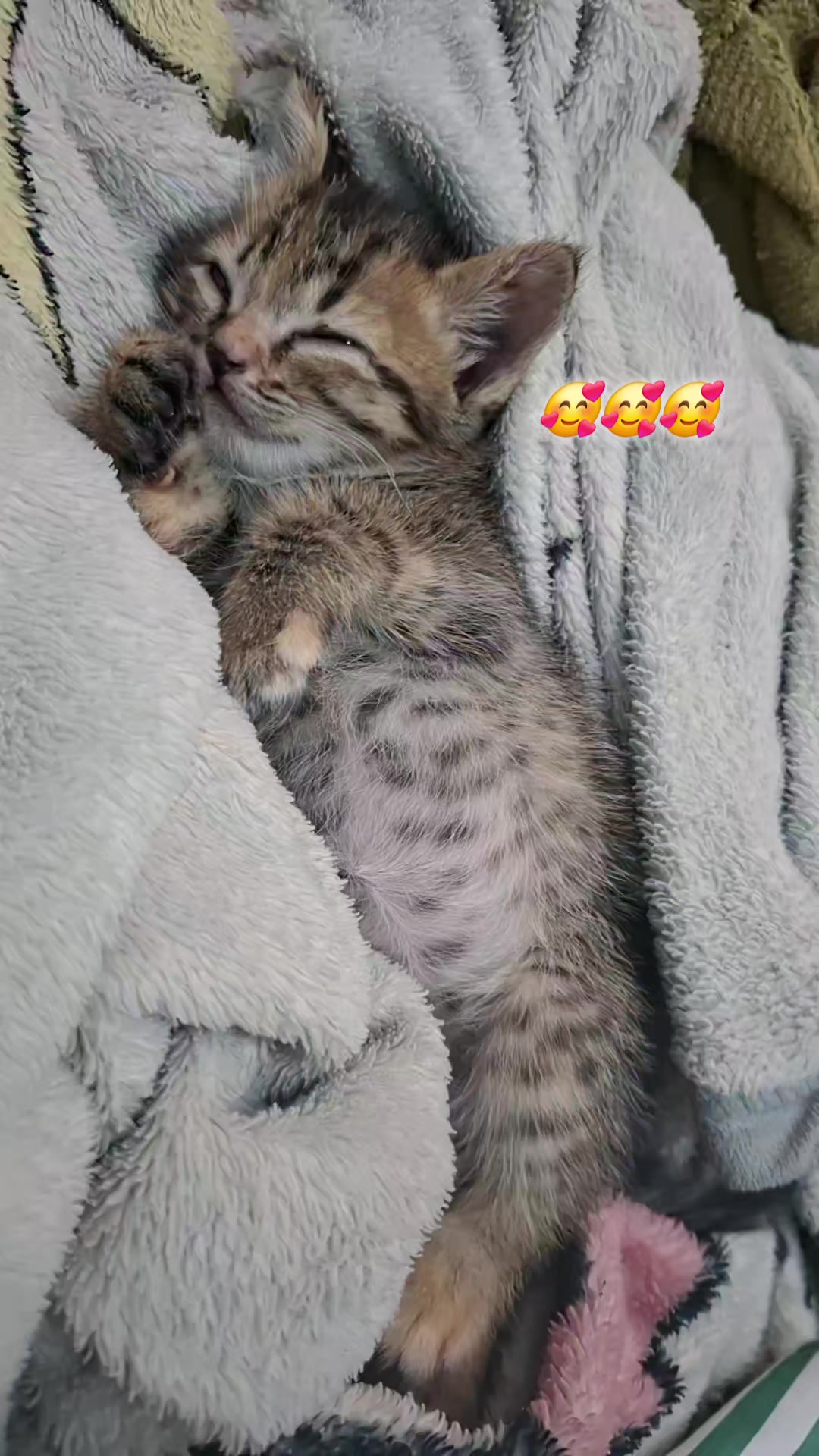 @Supawadee 🌻