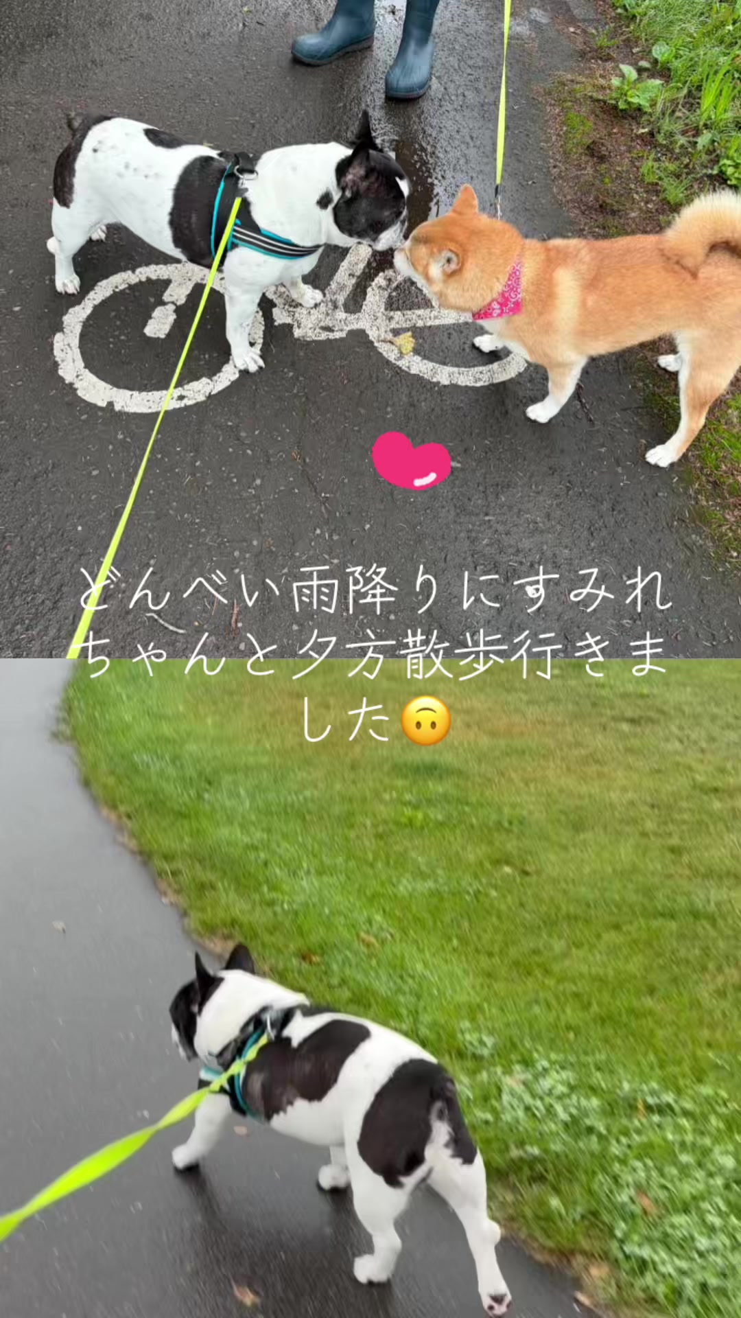 @taka1964